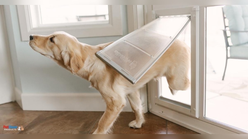 How to Remove Magnet from Pet Door Flap Petsafe