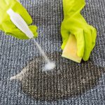 How to Remove Old Pet Urine Stains from Wool Rug