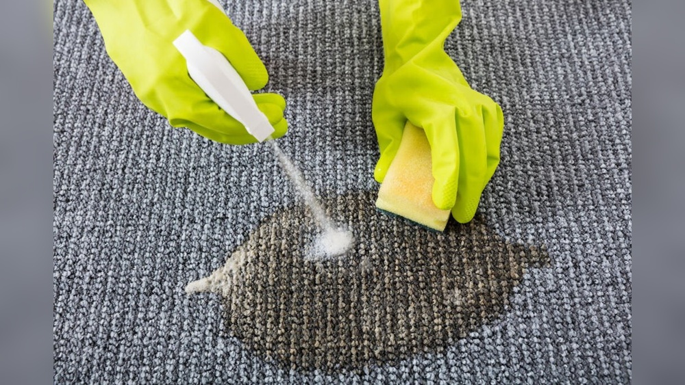 How to Remove Old Pet Urine Stains from Wool Rug