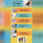 How to Remove Pet Urine from a Rug