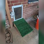How to Seal around Pet Door Brick