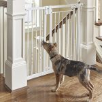 How to Set Up My Frontgate Pet Gate