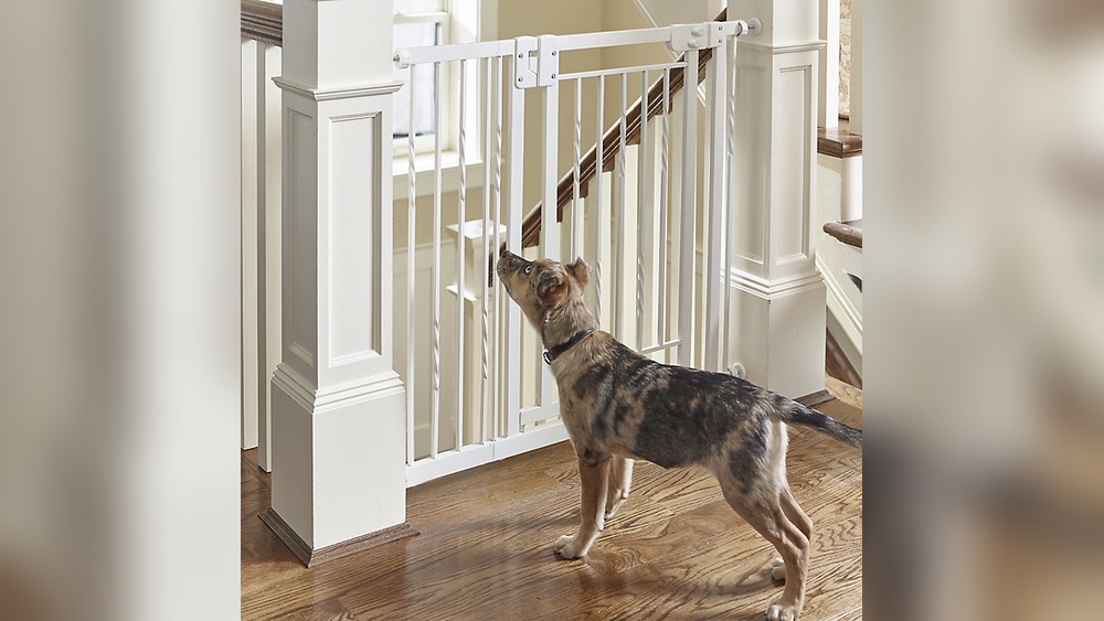 How to Set Up My Frontgate Pet Gate