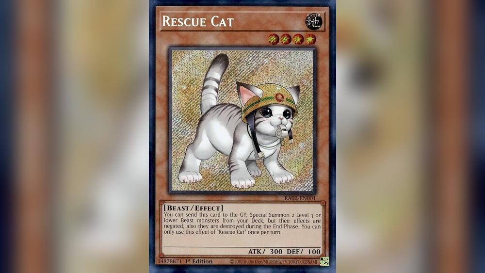 How to Summon Pet Gato