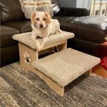 How to Train Dog to Use Pet Stairs