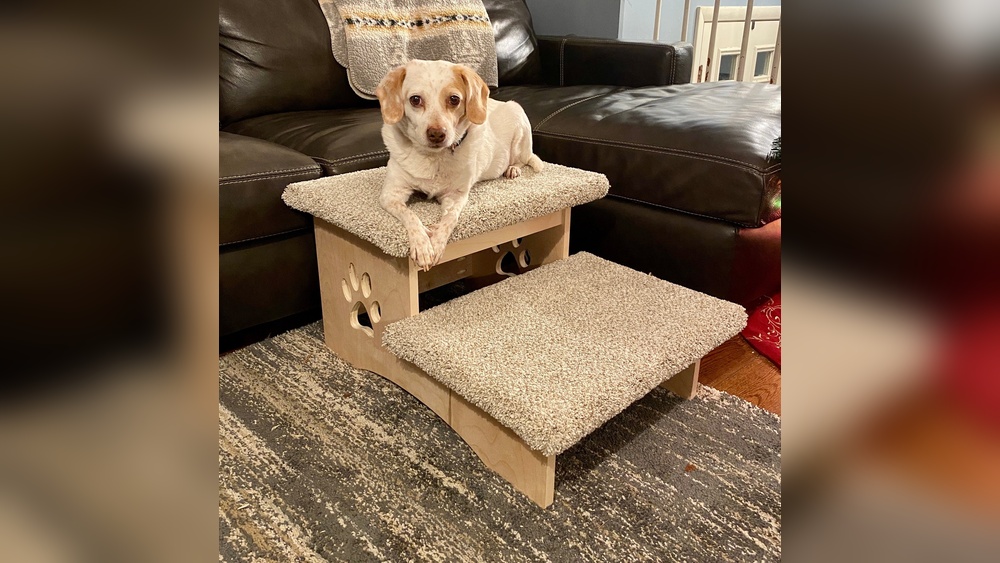 How to Train Dog to Use Pet Stairs