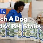 How to Train Your Dog to Use Pet Stairs
