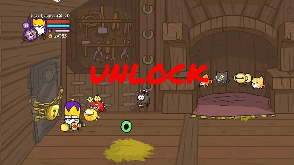 How to Unlock Secret Door in Castle Crashers Pet Shop