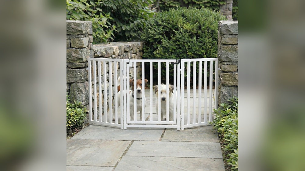 How to Upgrade the Pets Option for Your Front Door