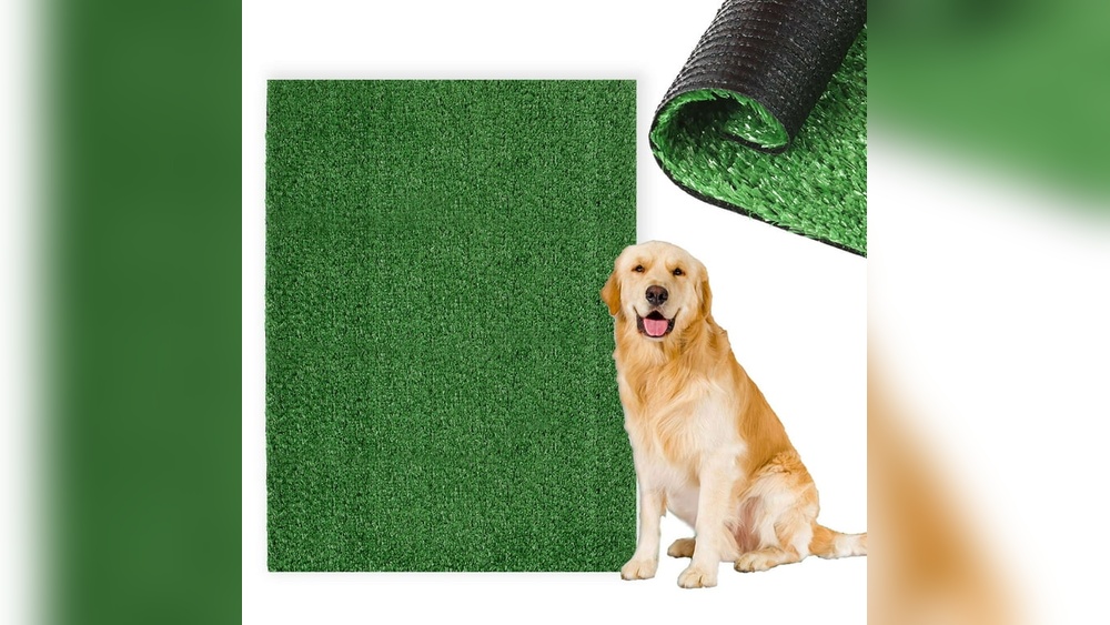 How to Wash a Washable Rug With Pet Urine
