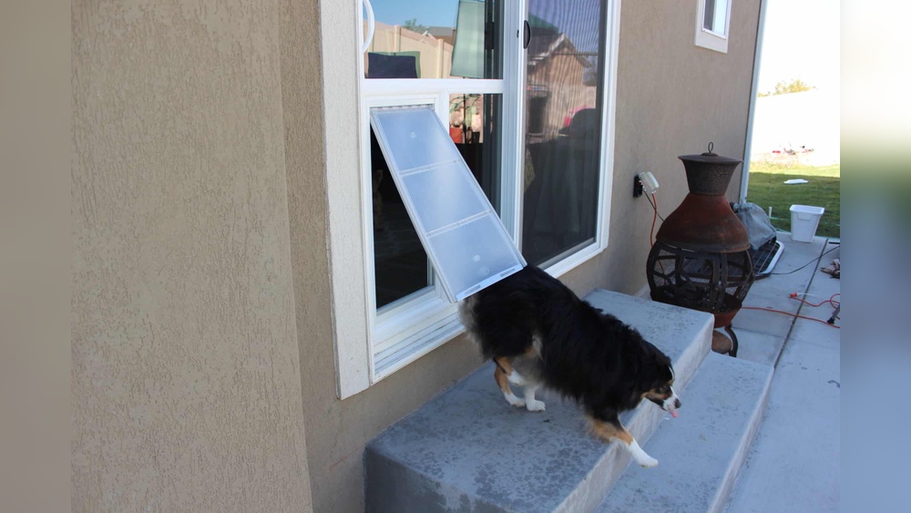 What Door is a Good Option for a Pet Door
