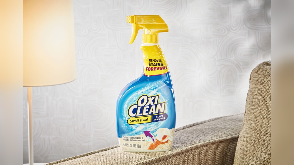 What is the Best Rug Shampooer for Pets