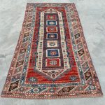What is the Bhe Best Rug Shampooer for Pets