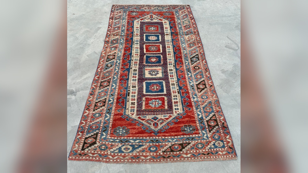 What is the Bhe Best Rug Shampooer for Pets