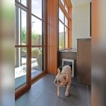 What Kind of Pet Door is the Best