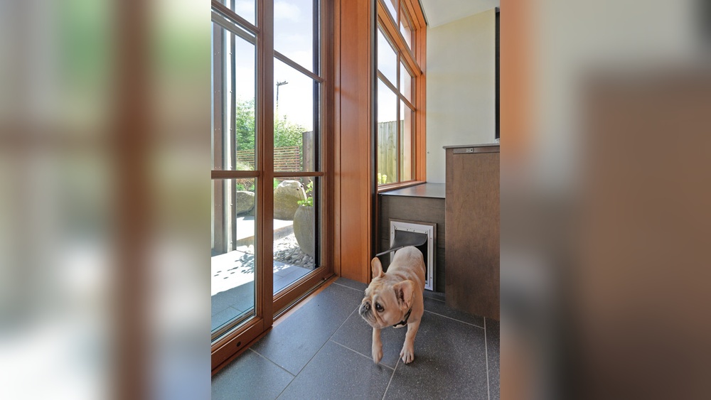 What Kind of Pet Door is the Best