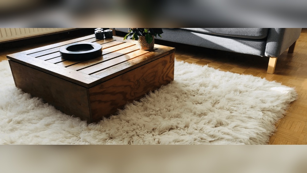 What Kind of Rug Does Not Attract Pet Hair