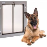 What Size Pet Door for German Shepherd