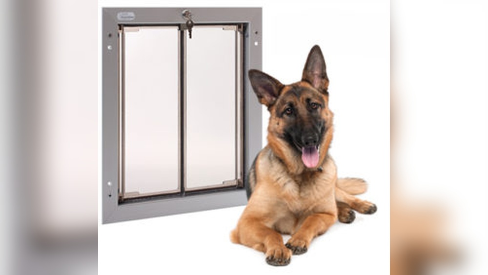 What Size Pet Door for German Shepherd