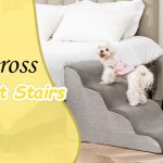 What Size Pet Stairs for 25 Lb Dog