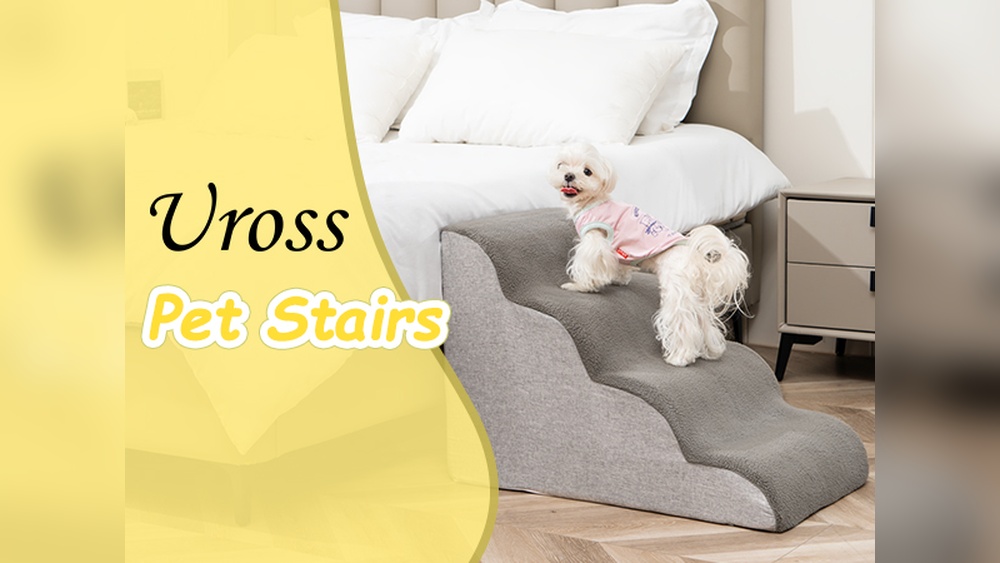 What Size Pet Stairs for 25 Lb Dog