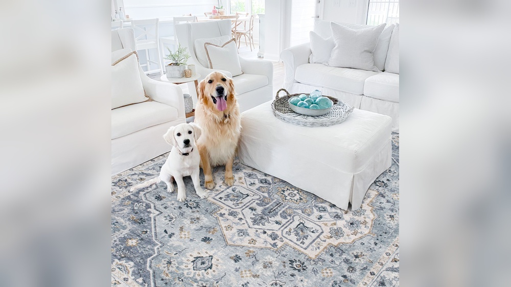 Whats the Best Rugs for Pets
