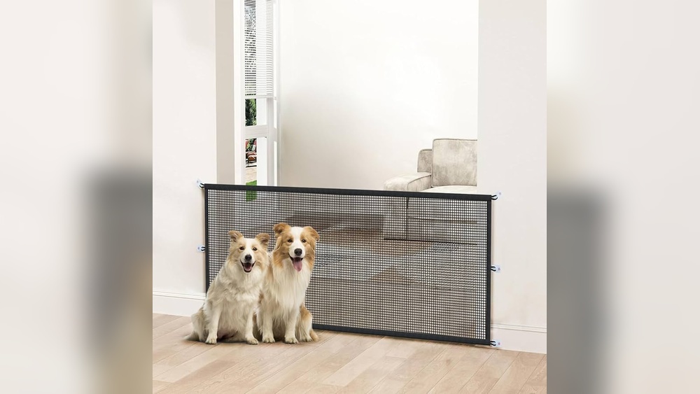 Why Use a Mesh Pet Gate