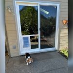 Why Would a Pet Door Cause Damage to a Home