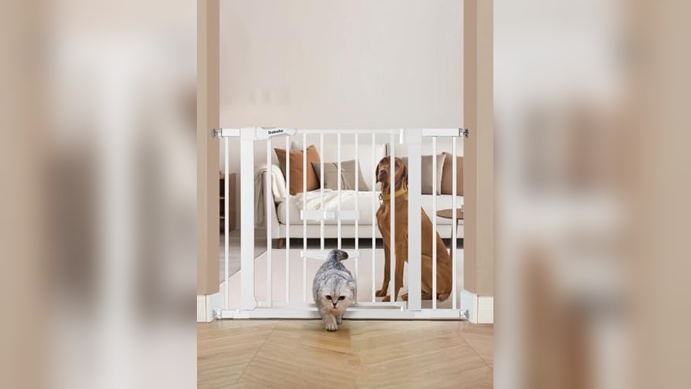 Best Child Gate With Pet Door