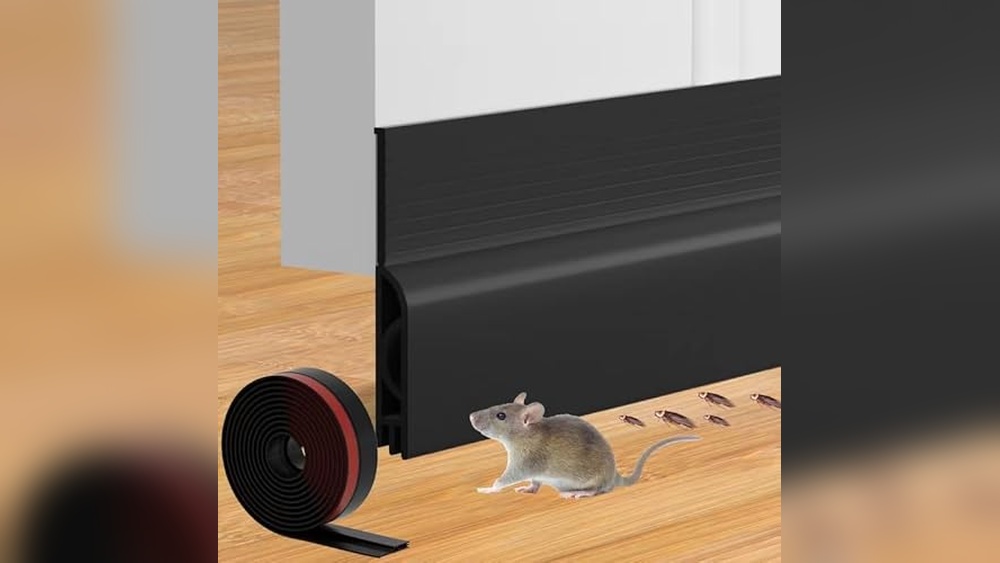 Best Exterior Door With Pet Door