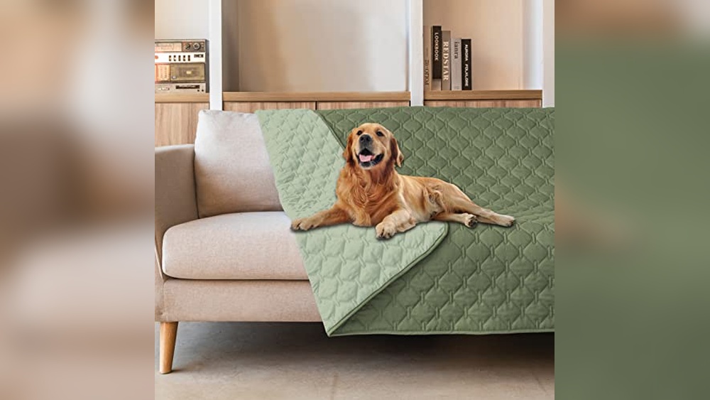Best Outdoor Pet Sofa Cover Non Skid