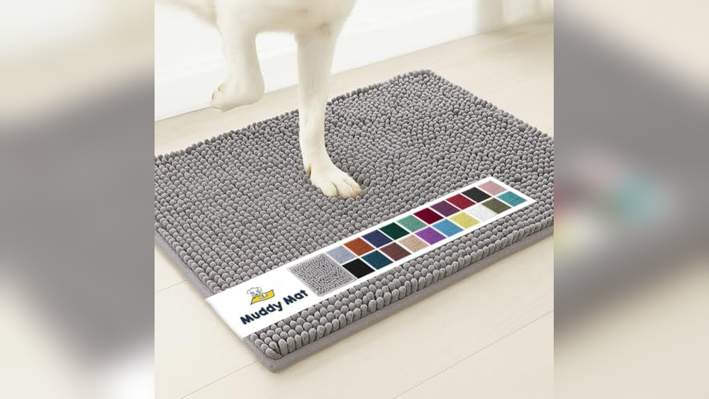 Best Pet Door Mats