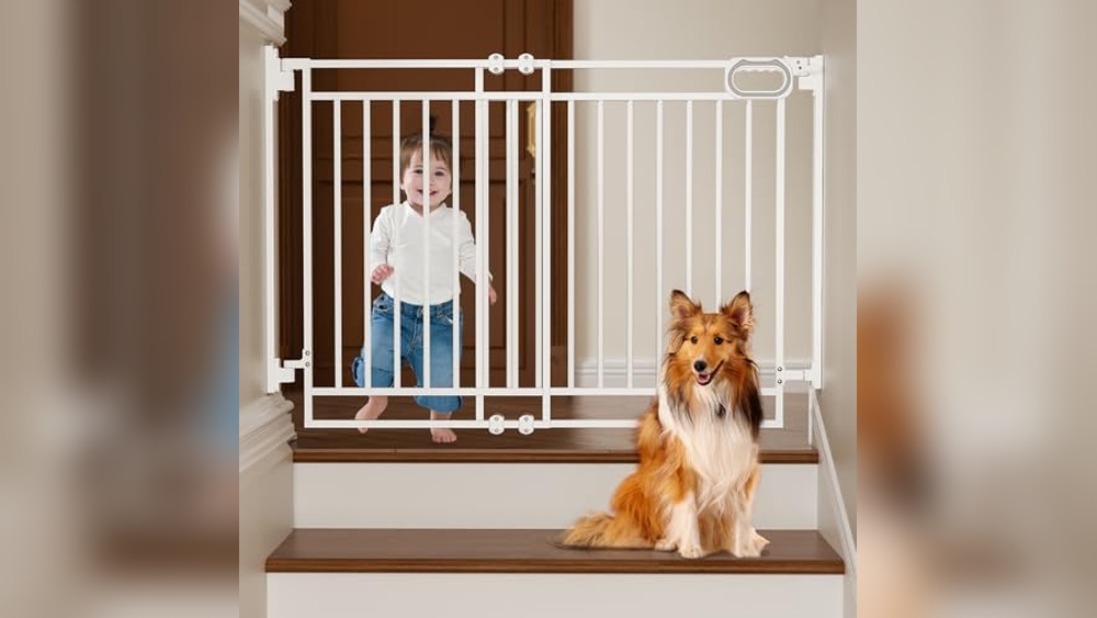 Best Pet Gate for Bottom of Stairs
