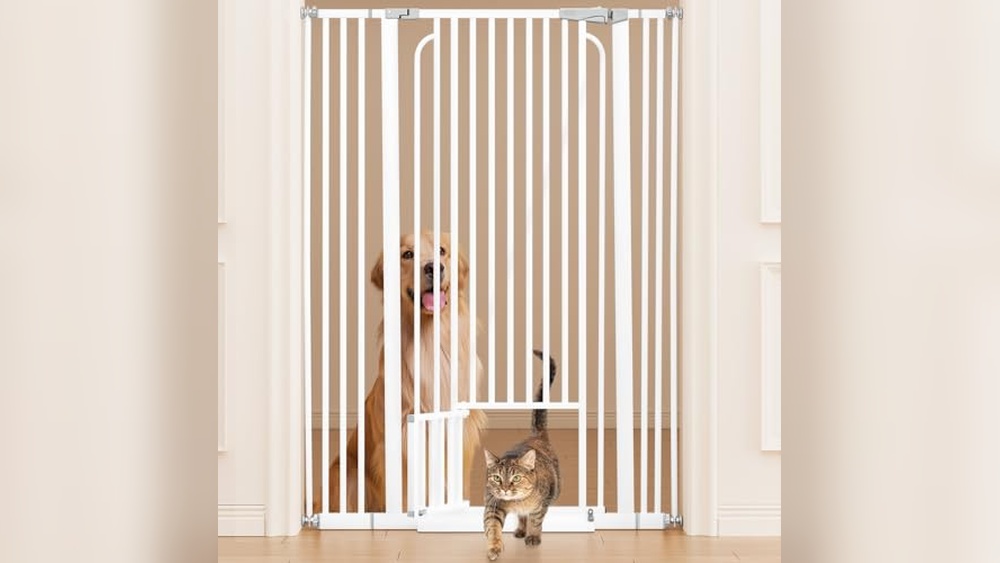 Best Pet Gate for Cats