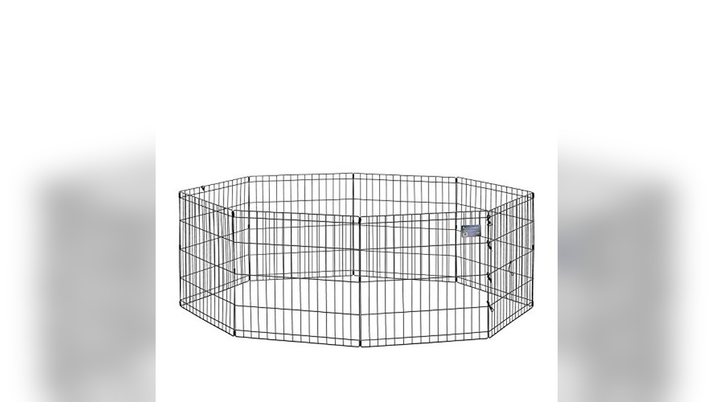 Best Pet Gate for Rabbits