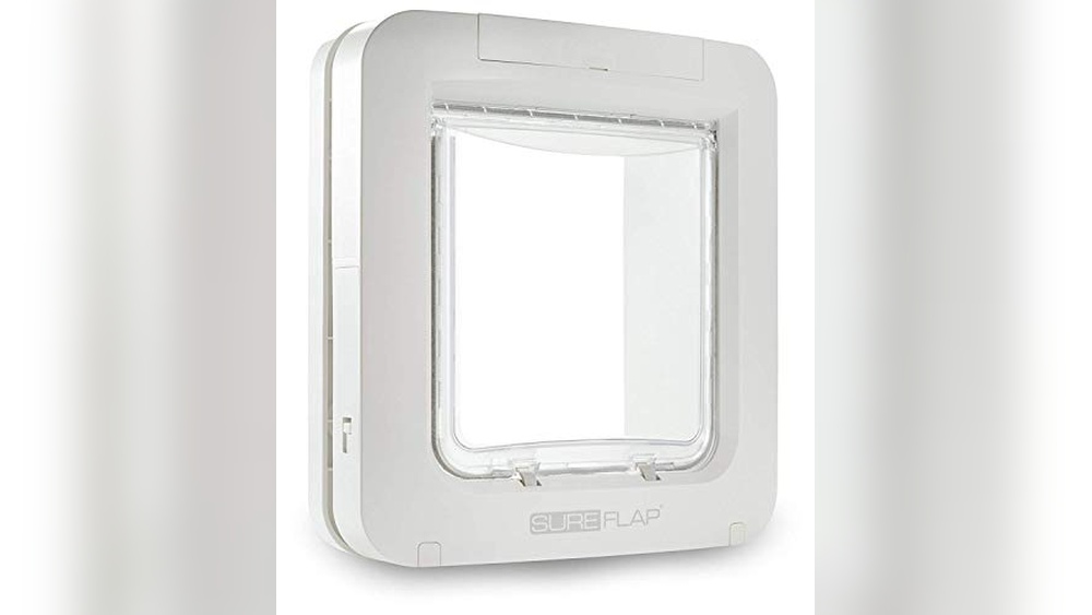 Best Secret Door in Pet Sim 99