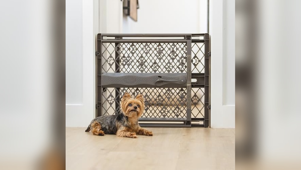 Best Spring Pet Gate