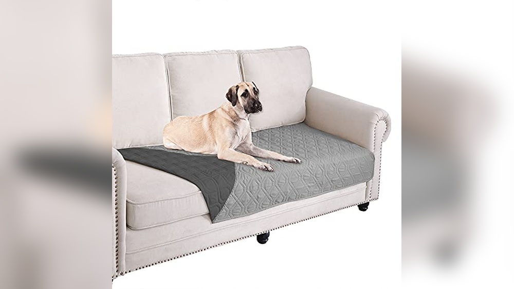Best Waterproof Sofa Cover for Pets